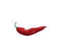 Hot Chillys Canada